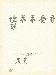 攻弟弟受哥哥小说