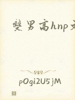双男高hnp文封面