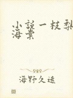 小说一枝梨花压海棠
