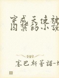 穿成天使被神明囚禁的小说