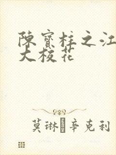 陈宝柱之江南四大校花