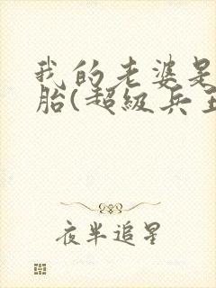我的老婆是双胞胎(超级兵王在都市)