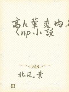 高h荤爽肉欲文〈np小说封面