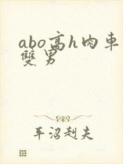 abo高h肉车双男