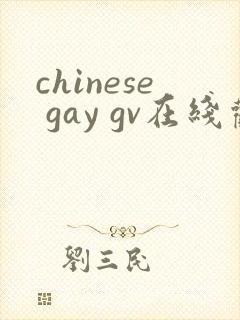 chinese gay gv在线观看