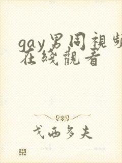 gay男同视频在线观看