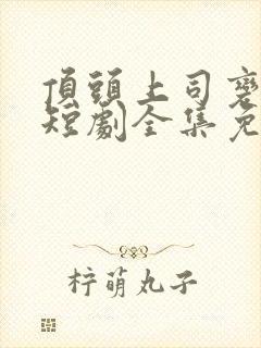 顶头上司变后妈短剧全集免费观看高清封面