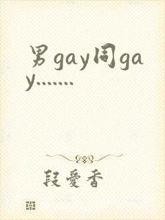 男gay同gay.......封面