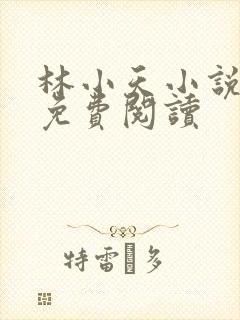 林小天小说全文免费阅读封面