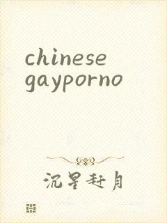 chinesegayporno封面