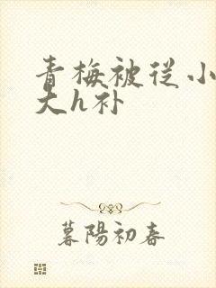 青梅被从小摸到大h补