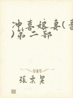 冲喜娘妻(番外)第二部