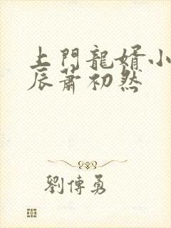 上门龙婿小说叶辰萧初然封面