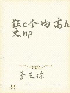 狂c全肉高h辣文np封面