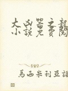 大凶器之龙傻子小说免费阅读全文