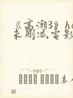 《高潮3》hd未删减电影
