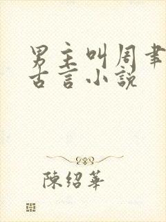 男主叫周聿安的古言小说封面