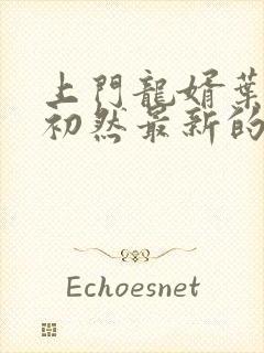 上门龙婿叶辰萧初然最新的