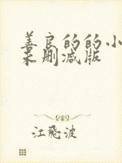 善良的的小[子未删减版封面