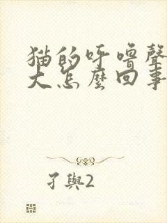猫的呼噜声特别大怎么回事