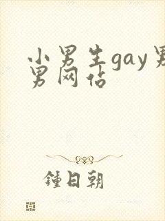 小男生gay男男网站封面
