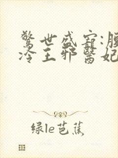 惊世盛宠:腹黑冷王邪医妃
