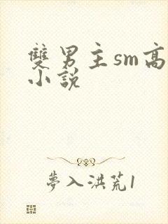 双男主sm高h小说
