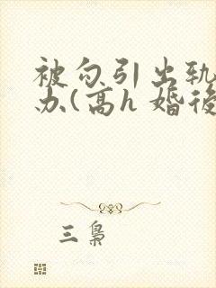 被勾引出轨怎么办(高h 婚后np)(