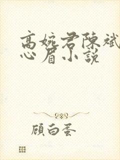 高婉君陈斌和赵心眉小说