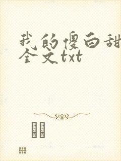 我的傻白甜老婆全文txt封面