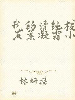 我的清纯校花女友叶凝霜小说封面
