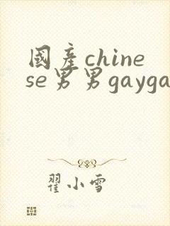 国产chinese男男gaygay网站