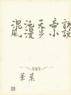 混沌天帝诀 随风漫步小说封面