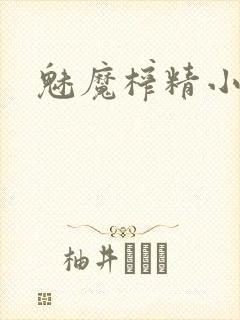 魅魔榨精小说封面