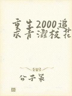 重生2000追求青涩校花同桌开始最新更新章节封面