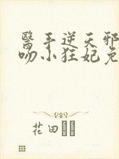 医手逆天邪王毒吻小狂妃免费阅读