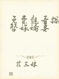 免费观看总裁的替嫁娇妻