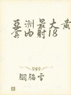 亚洲最大黄网无套内射18封面