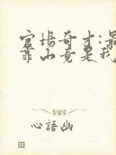 官场奇才:最强靠山竟是我自己李澜全文在封面