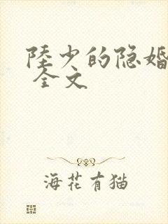 陆少的隐婚罪妻 全文