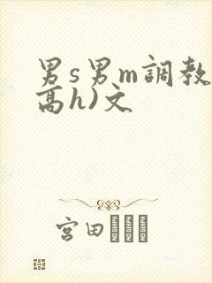 男s男m调教(高h)文