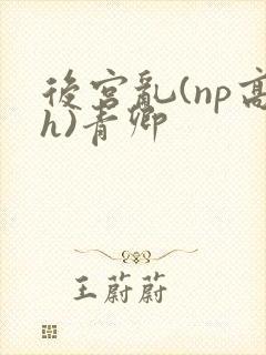 后宫乱(np高h)青卿