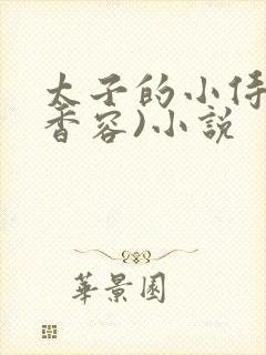 太子的小侍妾(香容)小说