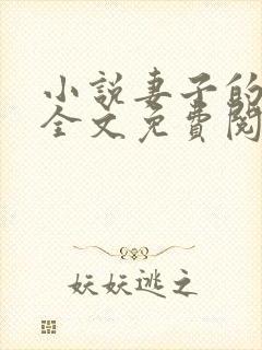 小说妻子的秘密全文免费阅读全文