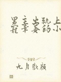 男主出轨上瘾,宠幸妾的小说