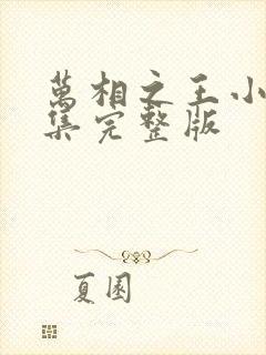 万相之王小说全集完整版