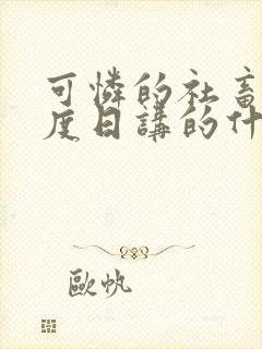 可怜的社畜 东度日讲的什么 小说