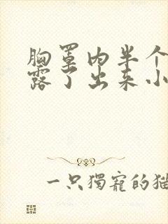 胸罩内半个奶都露了出来小说