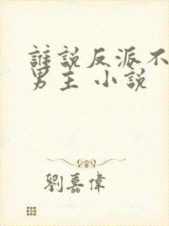 谁说反派不能当男主 小说