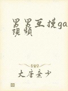 男男互摸gay视频